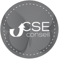 CSE Conseil